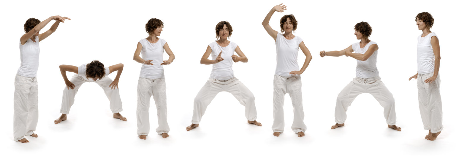 Qi Gong Relaxation Détente Vannes Morbihan 56 Club Shoshin